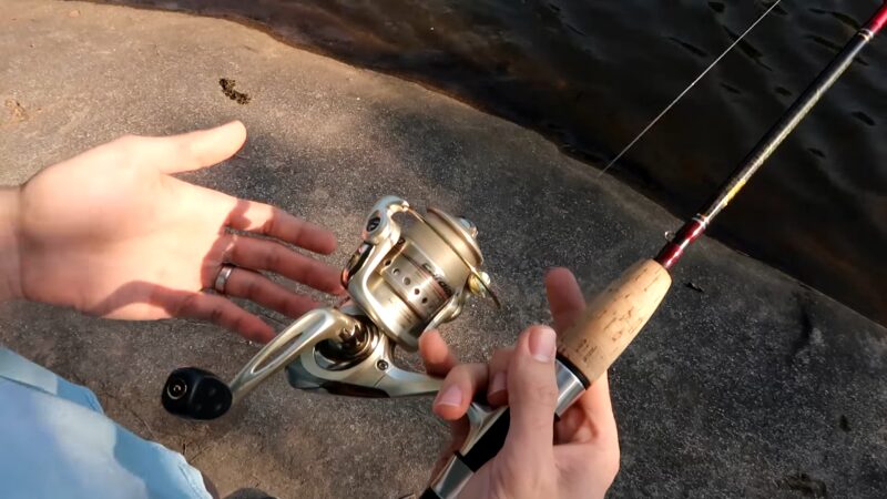 Fishing Rod and Reel Dynamics