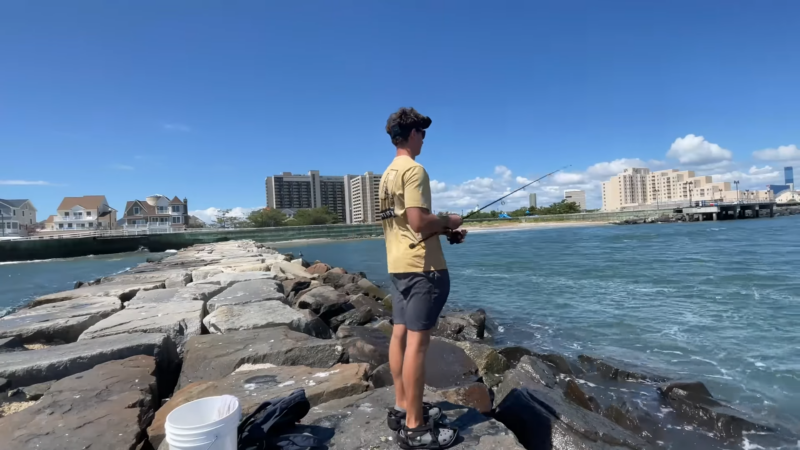 The Reefs and Jetties in Brigantine