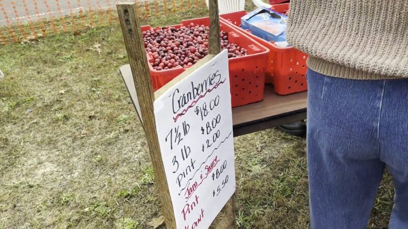 Cranberry Festival in New Jersey