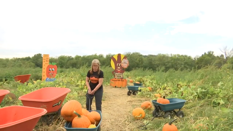 Great Pumpkin Festival in New Jersey